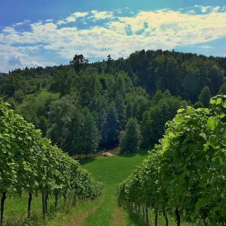 Prázdninový dům Winzerhaus Oberlupitscheni *